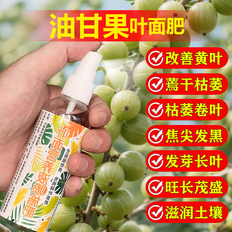 油甘果树专用肥料盆栽小苗旺长生根促发新芽长新叶营养液叶面肥料