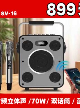 深威SV16便携音箱立体声蓝牙K歌音箱家庭直播音响