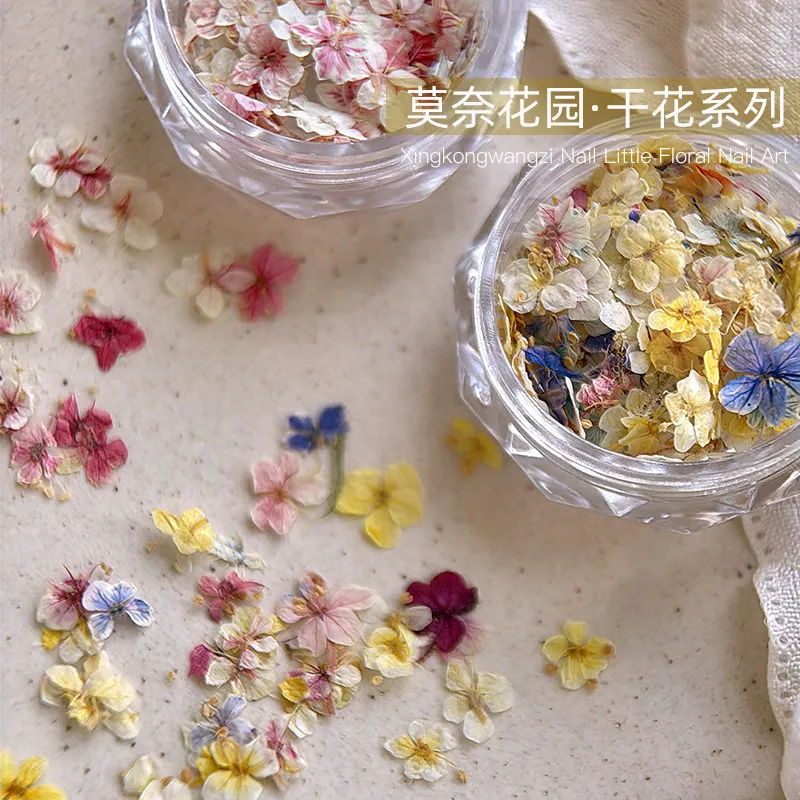 美甲干花混装素材莫奈花园迷你五瓣花材料紫色小碎花diy指甲饰品