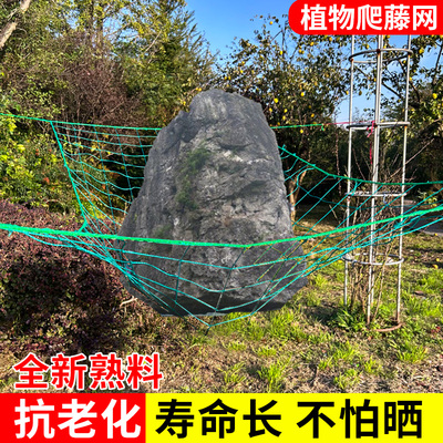 植物爬藤网黄瓜冬瓜吊瓜丝瓜葡萄网搭架花卉攀援网经久耐用抗氧化