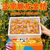 广西融安脆皮金桔当季 独立包装 新鲜水果脆甜蜜金柑小糖包礼盒