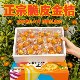 广西融安脆皮金桔当季 独立包装 新鲜水果脆甜蜜金柑小糖包礼盒