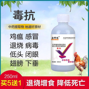 鸡鸭鹅鸽家禽用抗病毒感冒流感鸡瘟鸡病呼噜拉稀大全