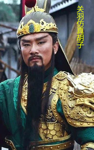 关羽胡子长胡须假胡子黑色络腮胡子化妆造型胡子关羽长胡子