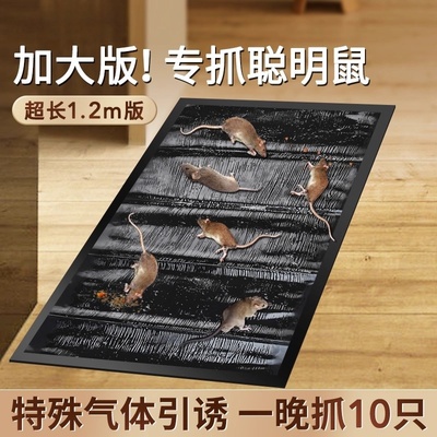 老鼠粘强力粘鼠板超强粘力抓老鼠