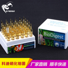 宾子观赏鱼虾水族硝菌科迪针剂1