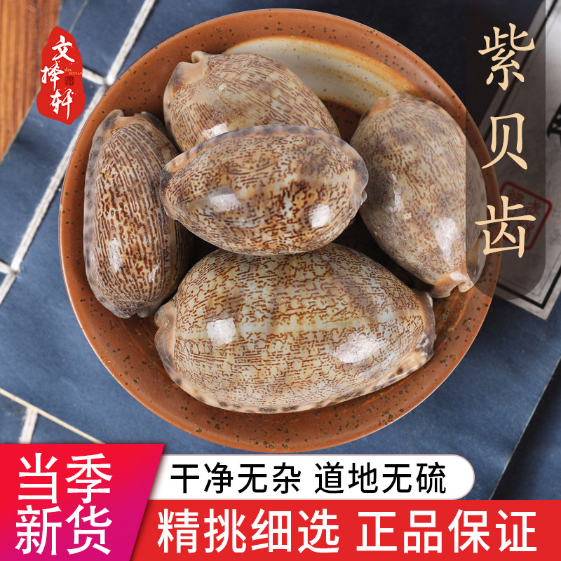中药材特级天然紫贝壳 文贝 正品紫贝齿 龙贝齿 药用50克
