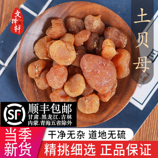 中药材精选土贝母 正品新货土贝 地苦胆 草贝 50克