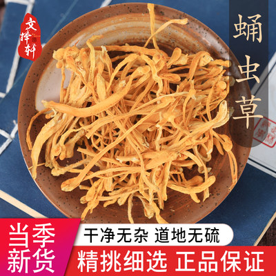 中药材特级野生蛹虫草50g正品