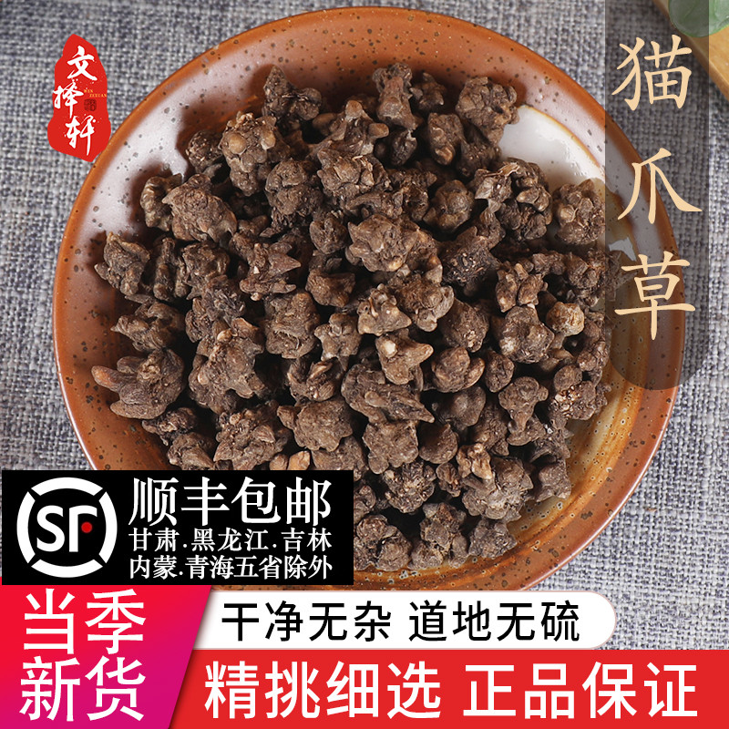 正品野生特级猫爪草50g水洗河南猫爪草猫抓草可搭配夏枯草郁金