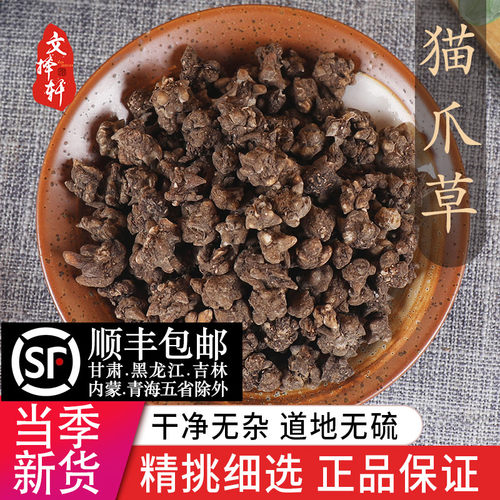 中药材精选野生水洗猫爪草50克