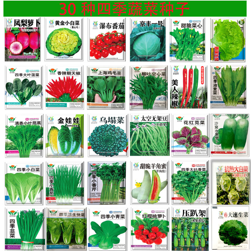 蔬菜种子家庭庭院易种黄瓜大全