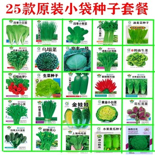 小青菜种子生菜种籽盆栽白菜蔬菜种孑小葱种菠菜香菜籽种大全四季