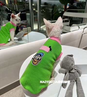 奶油只是无毛猫衣服斯芬克斯德文柯尼斯宠物猫咪秋季纯棉螺纹背心