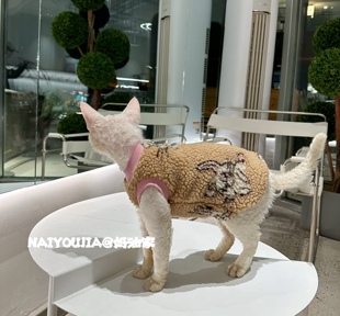 奶油只是无毛猫衣服斯芬克斯德文宠物猫秋冬厚双面绒保暖背心马甲