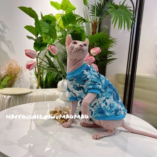 卫衣 包邮 纯棉半袖 奶油是只无毛猫斯芬克斯德文宠物猫咪衣服早秋款