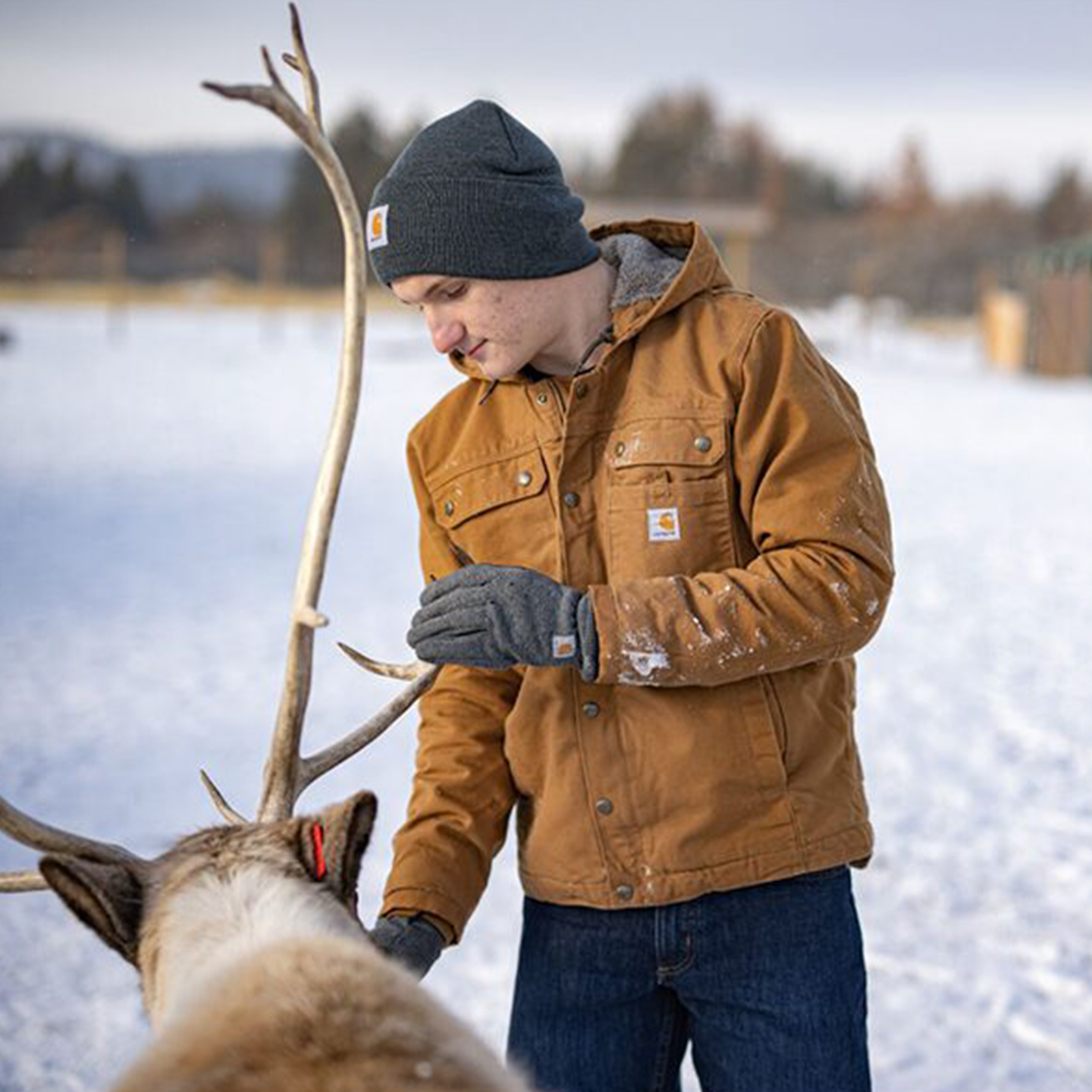 Carhartt卡哈特工装夹克主线美式加绒加厚保暖防风连帽外套103826