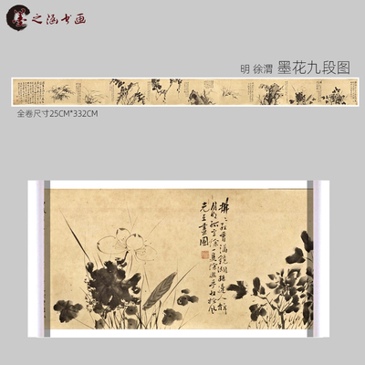 明 徐渭 墨花九段图 古山水风景人物国画 高清 艺术喷绘