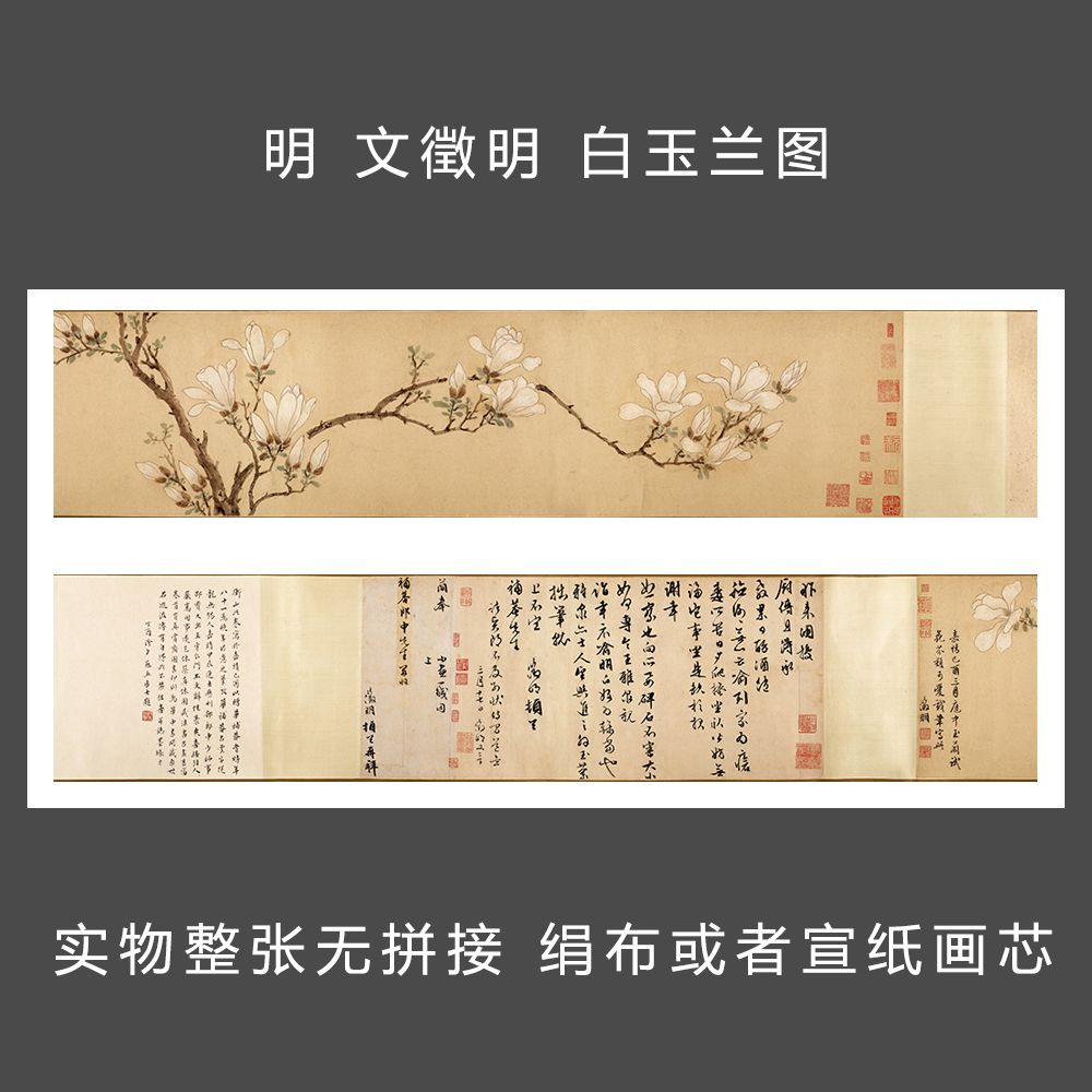 明 文徵明 白玉兰图全卷 国画书法字画 原作微喷复制