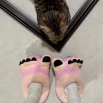 可爱搞怪五指拖鞋秋冬保暖居家鞋