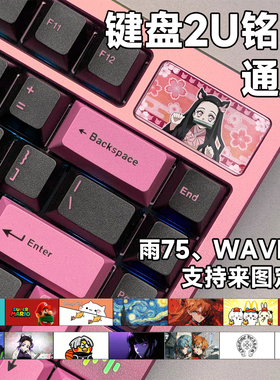 键盘2U铭牌通用 机械客制化定制DIY替换雨75 WAVE75磁轴个性卡通