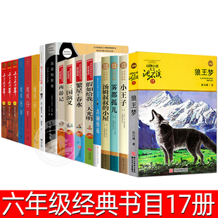 六年级必读经典 小屋假如给我三天光明魔戒老师推荐 小学生课外书籍 书目全套17册狼王梦青铜葵花繁星春水上下五千年林汉达汤姆叔叔