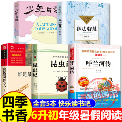 2025暑假六升初阅读 四季书香共读 全套5册少年与海 非法智慧 昆虫记初中版 谁是最可爱的人呼兰河传 正版书籍 现货速发必读书