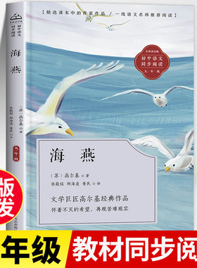 海燕正版书籍高尔基著九年级阅读