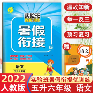 五年级下册升六年级上册暑假作业 实验班提优训练暑假衔接五升六语文人教版 5升6练习题专项训练课本同步课前预习单复习辅导资料书