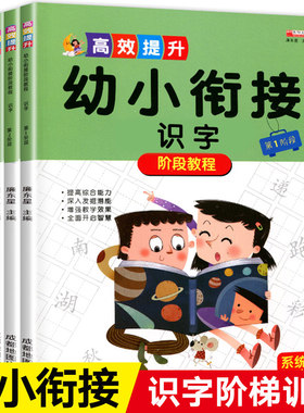 全套3册 幼小衔接阶梯教程幼儿阅读与识字认字教材启蒙 幼升小儿童学前看图识字书 幼儿园大班学前班早教书籍一年级语文看拼音写字