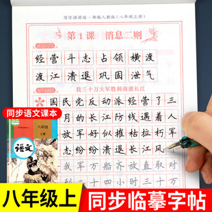 初二同步練字帖部編版 八年級上冊語文字帖 配套教材 8年級上學期課課練每日一練寫字帖 上 2024寫字練字鋼筆描紅練習 人教版
