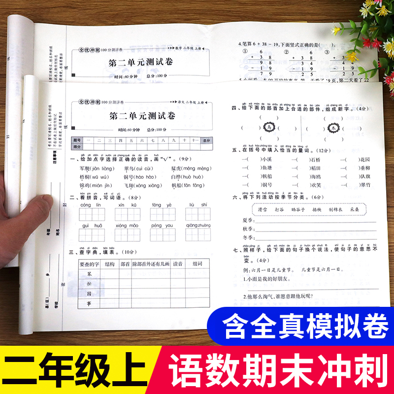 单元+专项+期中+期末+全真模拟卷