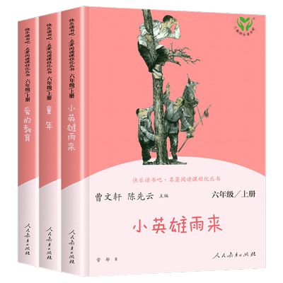 爱的教育原版小英雄雨来童年3册