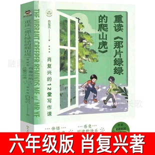 重读那片绿绿的爬山虎正版书籍 肖复兴的12堂写作课 作家走进校园系列彩绘版 文字和童趣的插图中感受语文之美 现当代文学散文随笔