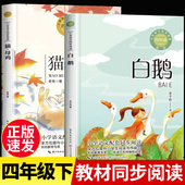 课文作家作品系列 白鹅丰子恺 小学生课外阅读书籍儿童文学全集散文集读本 课外书正版 书目老师推荐 猫老舍全套2册 四年级下册必读