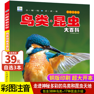 鸟类昆虫大百科彩图注音版 9岁中国儿童昆虫百科全书绘本少儿科普类书籍小学生一二三年级课外书幼儿启蒙早教故事小眼睛看世界