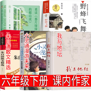 六年级下册必读的课外书野蜂飞舞 我与地坛史铁生正版原著纪念版 小灵通漫游未来重读那片绿绿的爬山虎叶永烈黄蓓佳朱自清散文精选