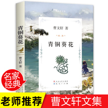 青铜葵花正版完整版 五年级四年级六年级必读课外阅读书 天天出版社曹文轩的下册小学三年级上册青少年版