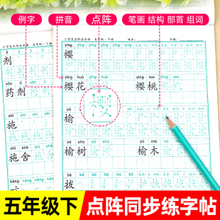 小学生专用点阵同步练字帖练字每日一练人教版 五年级下册字帖 语文生字写字课课练小学笔顺笔画临摹练习5下硬笔书法抄写本控笔训练