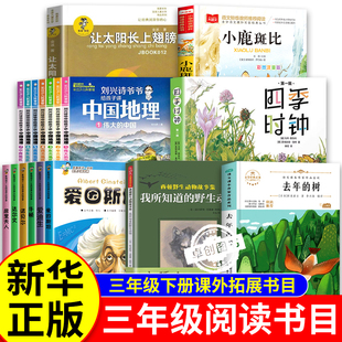 三年级下册必读课外书老师推荐 影响孩子一生的世界大科学家系列丛书全套刘兴诗爷爷讲给孩子的中国地理去年的树四季时钟小鹿斑比