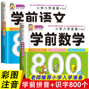 学前语文800题学前数学800题一年级学前班幼小衔接教材全套幼升小衔接幼儿园大班幼儿练习册数学专项综合练习题启蒙教材宝宝早教书