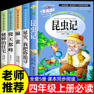 经典 小学生课外阅读书籍推荐 书目正版 适合4上下册儿童 住宅 全套5册 麻雀书老师蟋蟀 法布尔昆虫记四年级上册阅读课外书必读正版