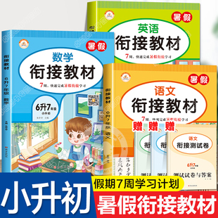 小升初暑假衔接教材小学六年级下册暑期作业必刷题人教版 六升七真题试卷2024系统总复习资料语文数学英语专项初中语数英初一练习册