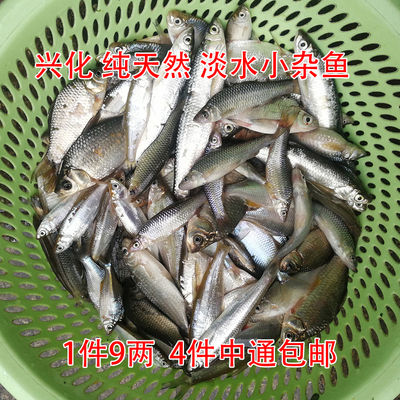 河鱼吃货活体现杀油炸