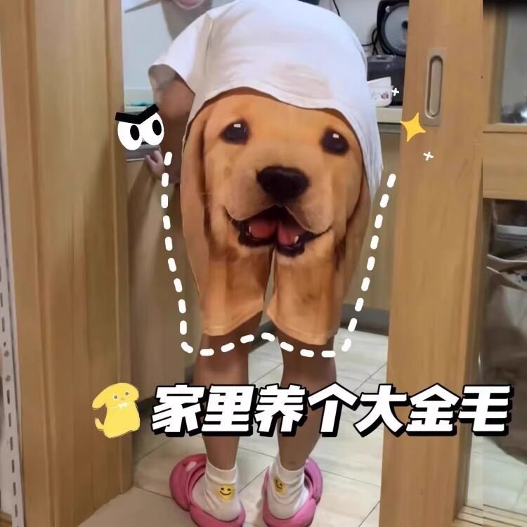 舒适好玩大金毛短裤搞笑男女休闲