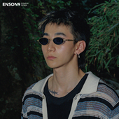 enson9复古超轻纯钛椭圆窄框墨镜潮男女 哑光银色细框宽边太阳镜