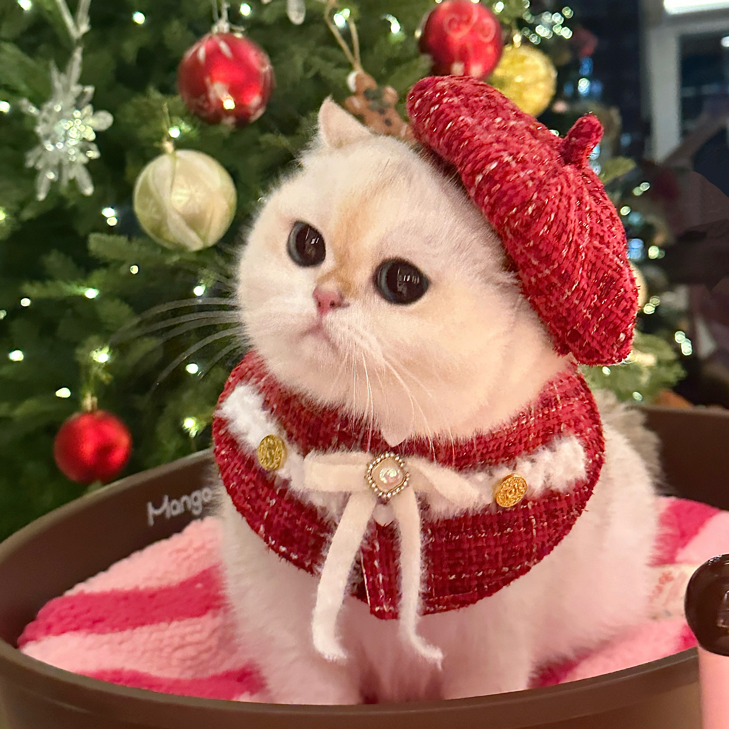 Mollywood 猫来屋 新年红色小香风 宠物围巾宠物围兜口水巾蝴蝶结,宠物/宠物食品及用品,围巾/口水巾,淘宝优惠券,粉丝福利购,淘宝优惠卷