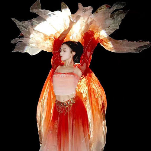 幽兰记古典舞演出服大袖衫