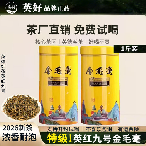 英红九号金毛毫特级浓香红茶