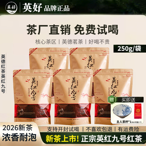 英红九号英德红茶特级茶叶